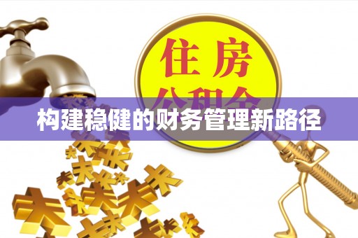 星子构建稳健的财务管理新路径