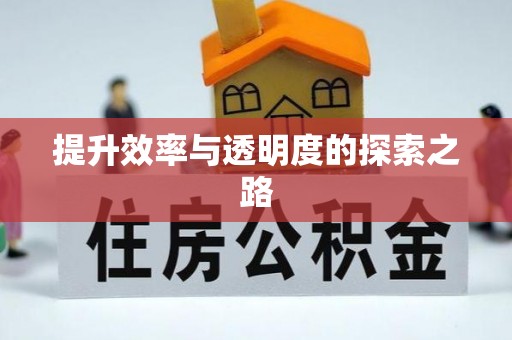 星子提升效率与透明度的探索之路