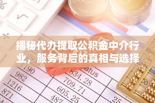 星子揭秘代办提取公积金中介行业，服务背后的真相与选择指南