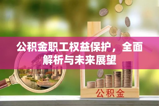 星子公积金职工权益保护，全面解析与未来展望