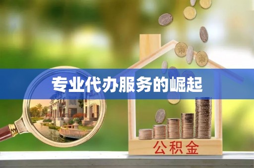 星子专业代办服务的崛起