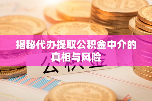 星子揭秘代办提取公积金中介的真相与风险