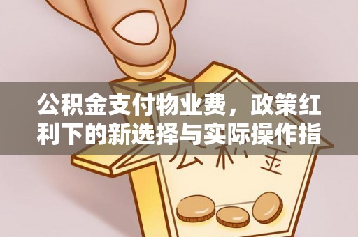 星子公积金支付物业费，政策红利下的新选择与实际操作指南