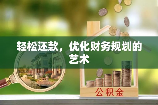 星子轻松还款，优化财务规划的艺术