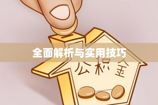 星子全面解析与实用技巧