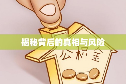 星子揭秘背后的真相与风险