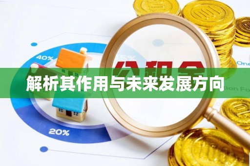 星子解析其作用与未来发展方向