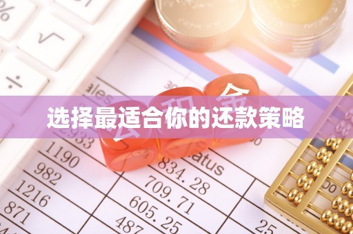 星子选择最适合你的还款策略