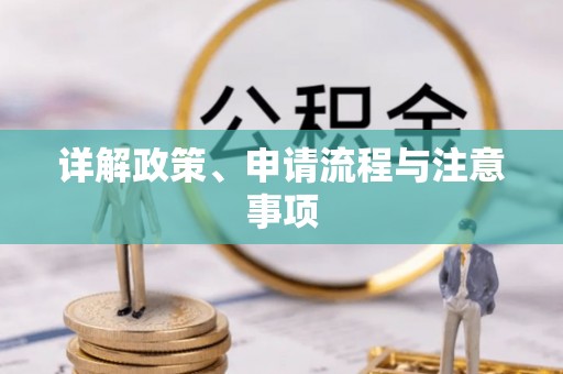 星子详解政策、申请流程与注意事项