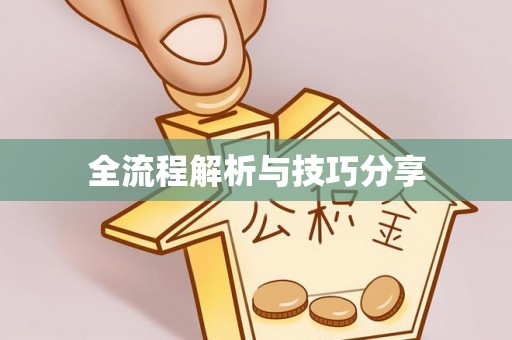 星子全流程解析与技巧分享